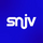 Syndicat National du jeu Vidéo
