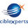 CIBLEXPERTS