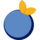 BLUE ORANGE GAMES