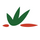 Agrisud International