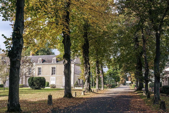 Allée principale de l'Hôtel