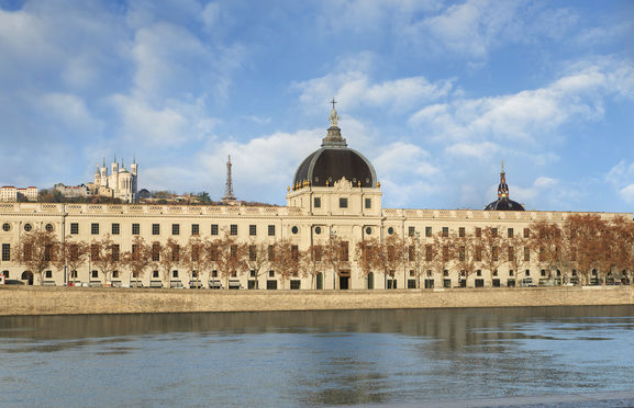 Intercontinental Lyon - Hotel Dieu